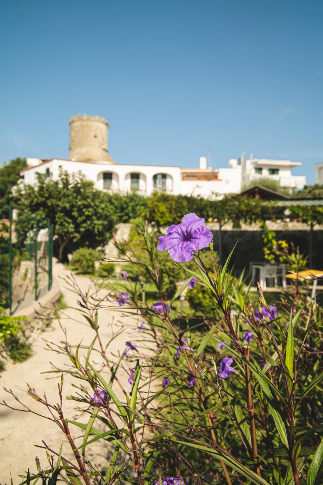Victoria Park Resort Ischia Extérieur photo